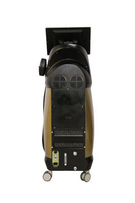 OEM Salon Laser Hair Removal Machine Diode 808 Laser Machine Bahasa Inggris Pilihan