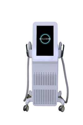 Mesin Stimulator Otot Profesional 2000W Mesin EMS Untuk Pertumbuhan Otot