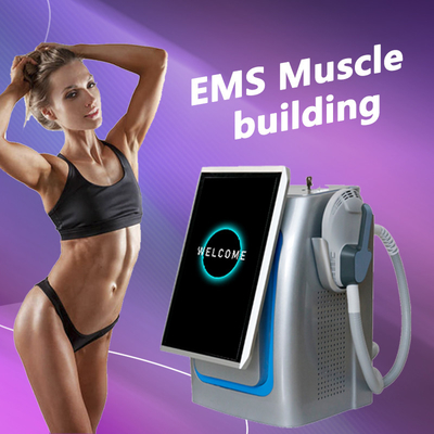 Mesin Penciptaan Tubuh EMS yang kuat, Pulsasi Stimulator Otot Magnetik 300us 5000w