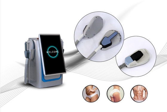 Mesin Slimming EMS Profesional 2000W Untuk Berat Badan Jenis Desktop