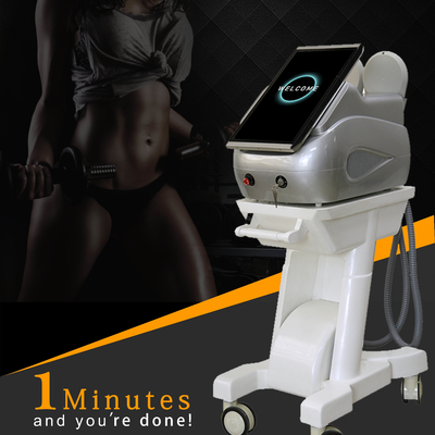 300us EMS Slimming Machine Standing Type High Intensity Focused EMS Body Sculpting Machine
