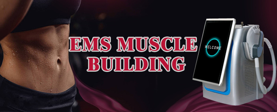 300us EMS Slimming Machine Standing Type High Intensity Focused EMS Body Sculpting Machine