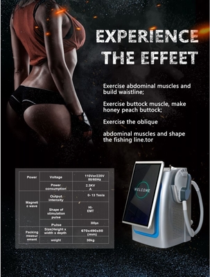 300us EMS Slimming Machine Standing Type High Intensity Focused EMS Body Sculpting Machine