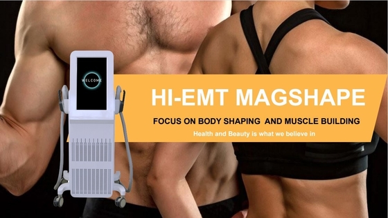 ABS EMS Mesin Body Sculpting Commercial Electric EMS Stimulator Otot
