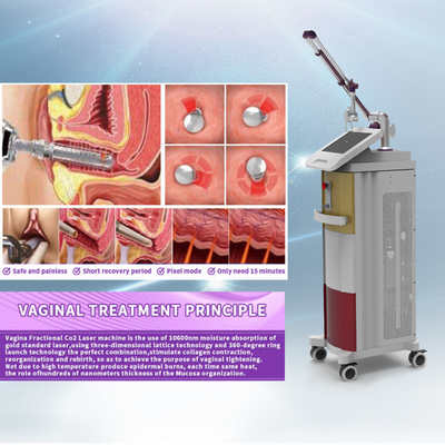 Portable CO2 Laser Fractional Machine 40W Untuk Salon Kecantikan 2 Tahun Garansi