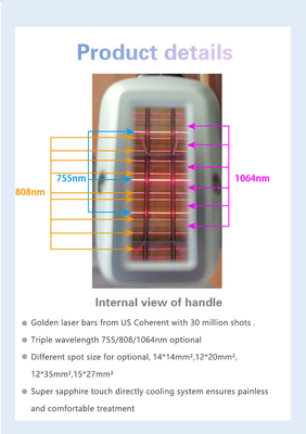 808nm-810nm Multifungsi Mesin Kecantikan Gaya Stasioner RoHS TGA Disetujui
